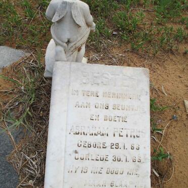 BESTER Abraham Petrus 1966-1966