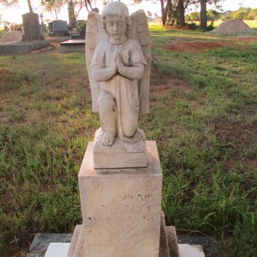 BERGH Karel Bernardus, v.d. 1953-1953