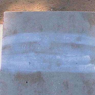 BRUYN Anna Sophia, de nee JANEKE 1863-1946