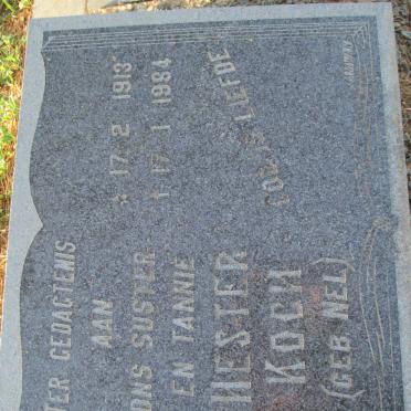 KOCH Hester nee NEL 1913-1984