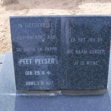 PELSER Peet 1941-1980