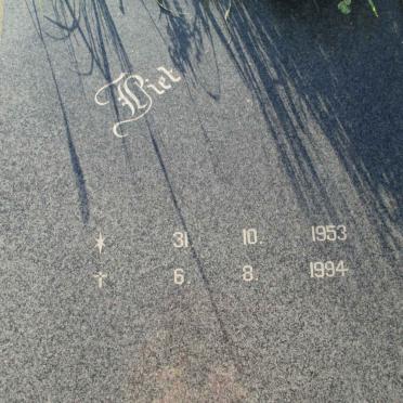 RHEEDER Piet 1953-1994