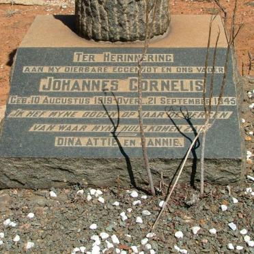 BERGEN Johannes Cornelis, van 1919-1945