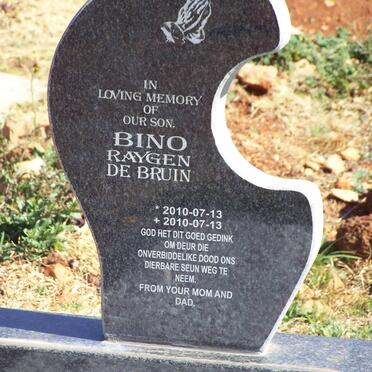 BRUIN Bino Raygen, de 2010-2010