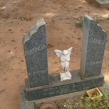 DAMES Amanda 1961-1968