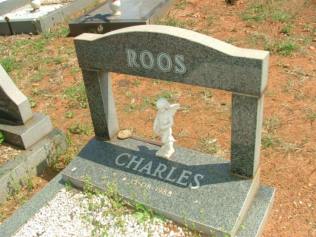 ROOS Charles 1988-1988