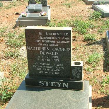 STEYN Marthinus Jacobus Dewald 1985-1985