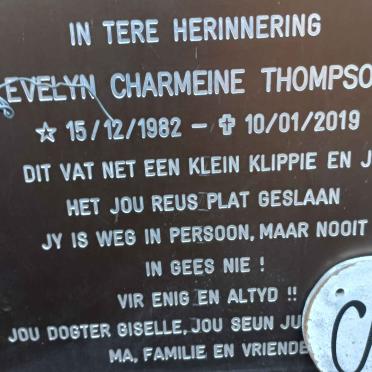 T - Vanne :: Surnames - T