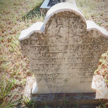 BILJOEN Sophia Maria, van 1929-1934