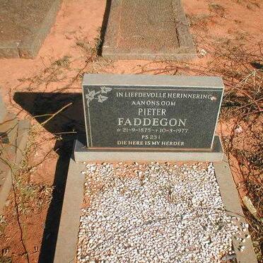 FADDEGON Pieter 1875-1977