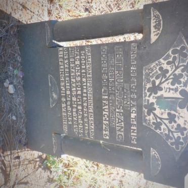 SPANG Petrus J. 1946-1946