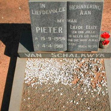 SCHALKWYK Pieter, van 1956-1981