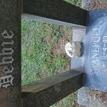 SWANEPOEL Debbie 1963-1972