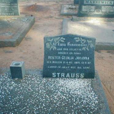 STRAUSS Hester Cecilia Johanna 1893-1967