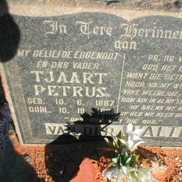 WALT Tjaart Petrus, van der 1887-1961