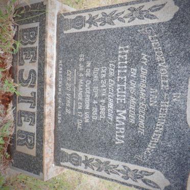 BESTER Heuletjie Maria nee ENGELBRECHT 1883-1950