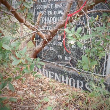BADENHORST Gerhardus Petrus 1925- 2003 &amp; Joh? Eliz?