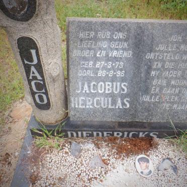 DIEDERICKS Jacobus Herculas 1973-1996