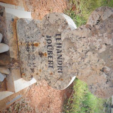 JOUBERT Tehandri 2006-2006