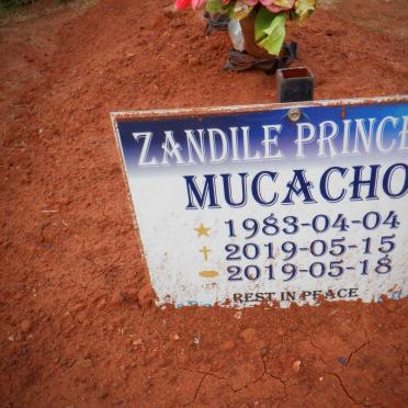 MUCACHO Zandile Princess 1983-2019