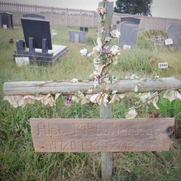 McCALLAGHAN Alet 1972-2013