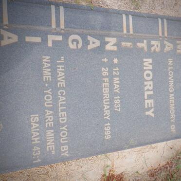 MARTINAGLIA Morley 1937-1999