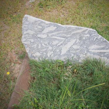 PLESSIS Jan Harm, du 1930-2000