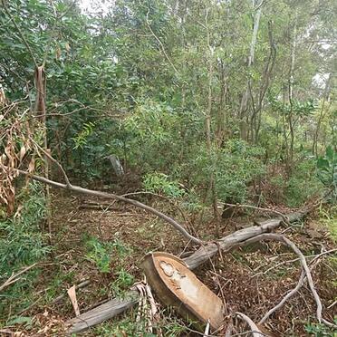 Gauteng, BENONI district, Bredell, Vlakfontein 8 farm, farm cemetery