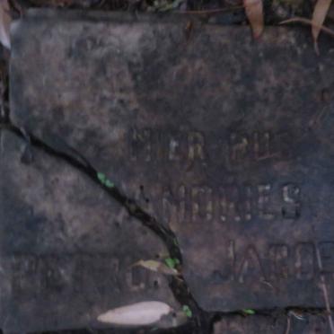 ? Andries Petrus Jacobus