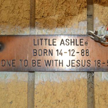 ? Ashleé 1988-1989
