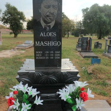 ALOES Mashigo 1948-2016