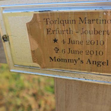 JOUBERT Torlquin Martino, ERFURTH 2010-2010