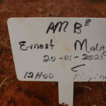 MALAZA Ernest -2021
