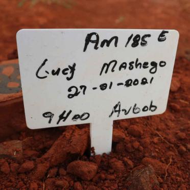MASHEGO Lucy -2021