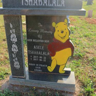 TSHABALALA Anele 2017-2017