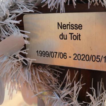 TOIT Nerisse, du 1999-2020