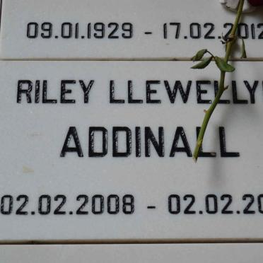 ADDINALL Riley Llewellyn 2008-2008