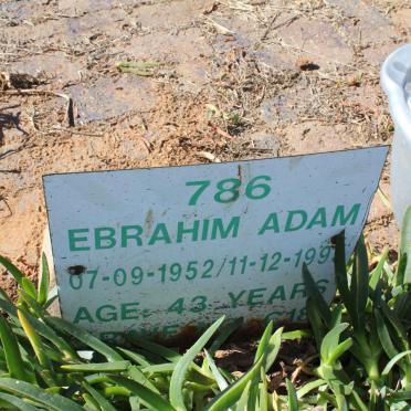 ADAM Ebrahim 1952-1995