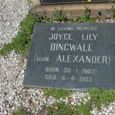 ALEXANDER Willie -1929 &amp; Myra -1928 :: DINGWALL Joyce Lily nee ALEXANDER 1907-1983 :: ALEXANDER Douglas Leslie 1905-1964