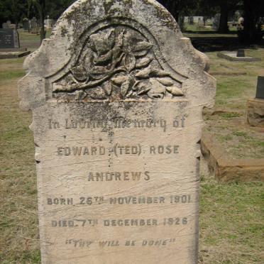 ANDREWS Edward Rose 1901-1926