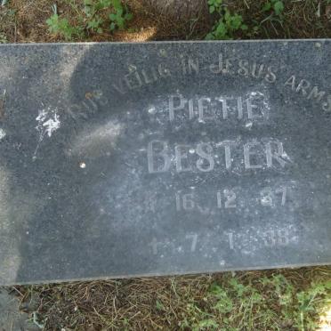 BESTER Pieter 1927-1938