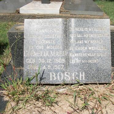 BOSCH Cornelia Maria 1909-1967
