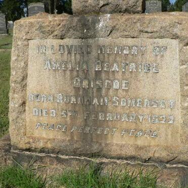 BRISCOE Amelia Beatrice -1933