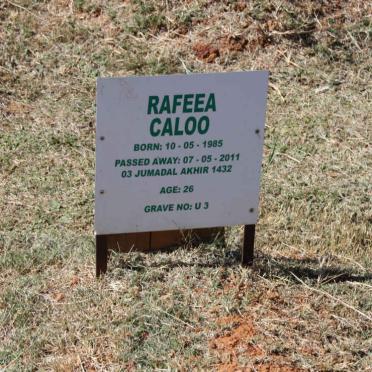 CALOO Rafeea 1985-2011