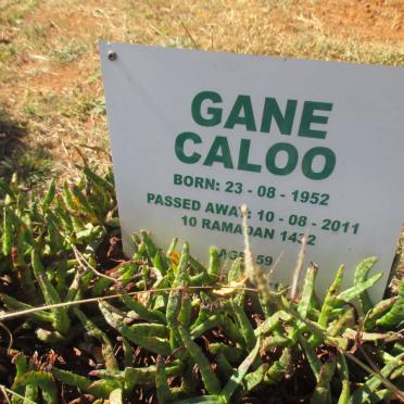 CALOO Gane 1952-2011