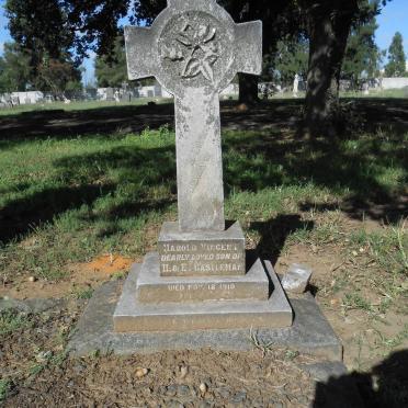 CASTLEMAN Harold Vincent -1919 &amp; Ethel Eliza -1923 :: DIXON Edna Vincent -1940