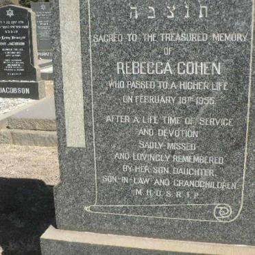 COHEN Rebecca -1955