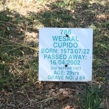 CUPIDO Wesaal 1973-2002