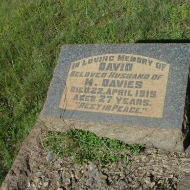 DAVIES David -1919