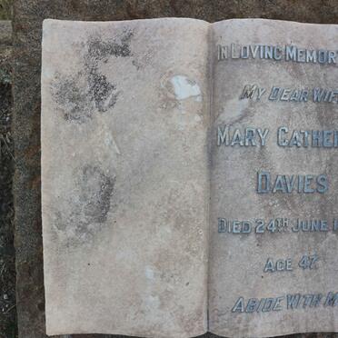 Da - Surnames starting with the letters Da